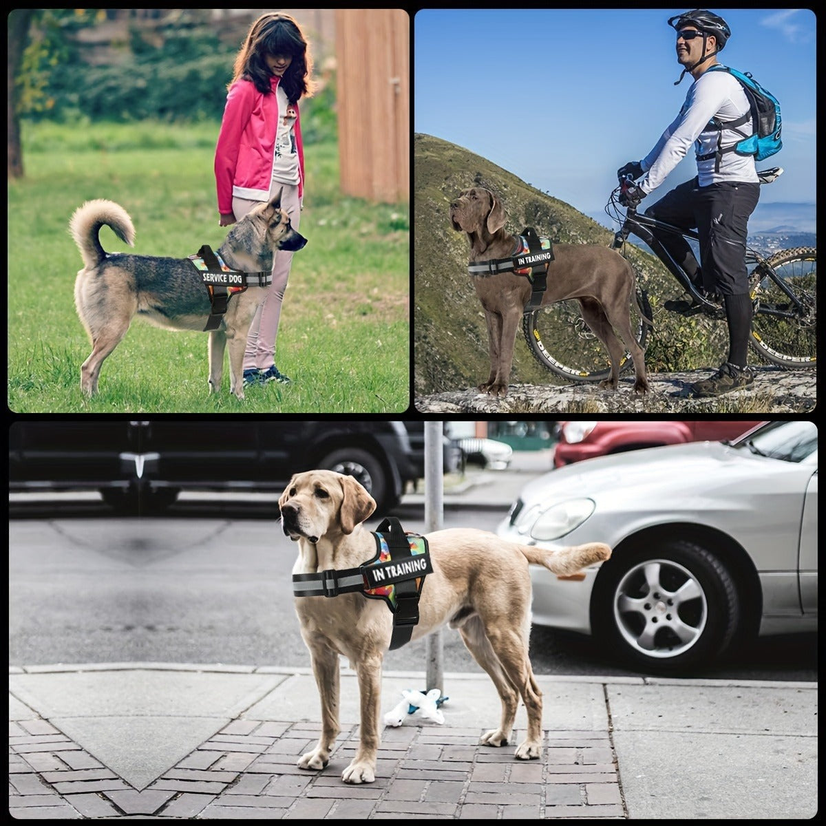 Night-Safe Reflective Dog Harness - No-Pull Design with Handle for Evening Walks & Training