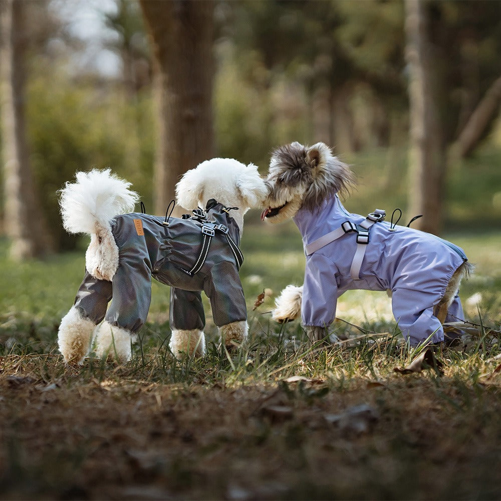 Dog Raincoat
