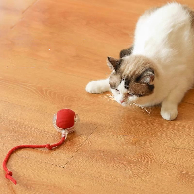 Smart Interactive Toy Ball for Dogs/Cats