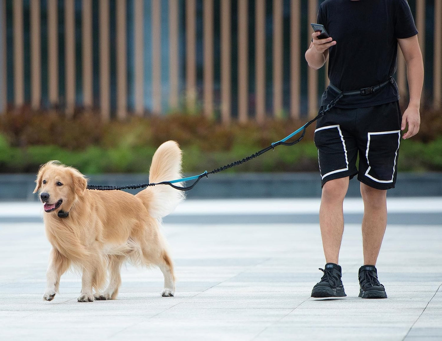 iYoShop Hands-Free Dog Leash with Zipper Pouch – Dual Padded Handles & Bungee for Walking, Jogging & Running