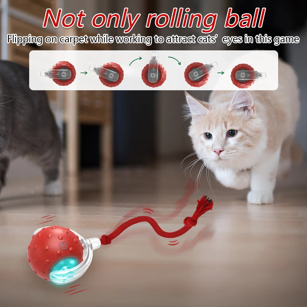 Pro Interactive Toy Ball with Bird Chirping for Dogs/Cats