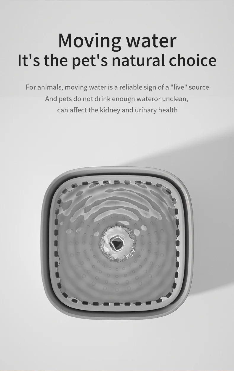 3L Filtered Water Fountain for Dogs & Cats - Ideal for Muti Pets Family