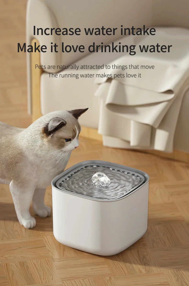 3L Filtered Water Fountain for Dogs & Cats - Ideal for Muti Pets Family