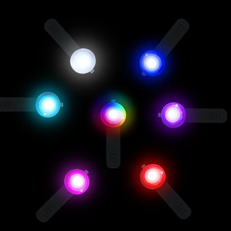 LED Safety Light Pendant for Dog Collars - Rechargeable IPX8