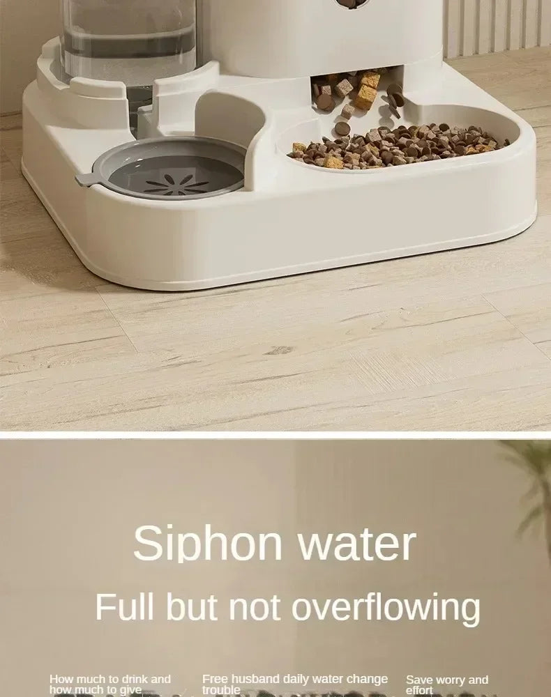 Pet Feeder & Water Fountain for Cats & Dogs