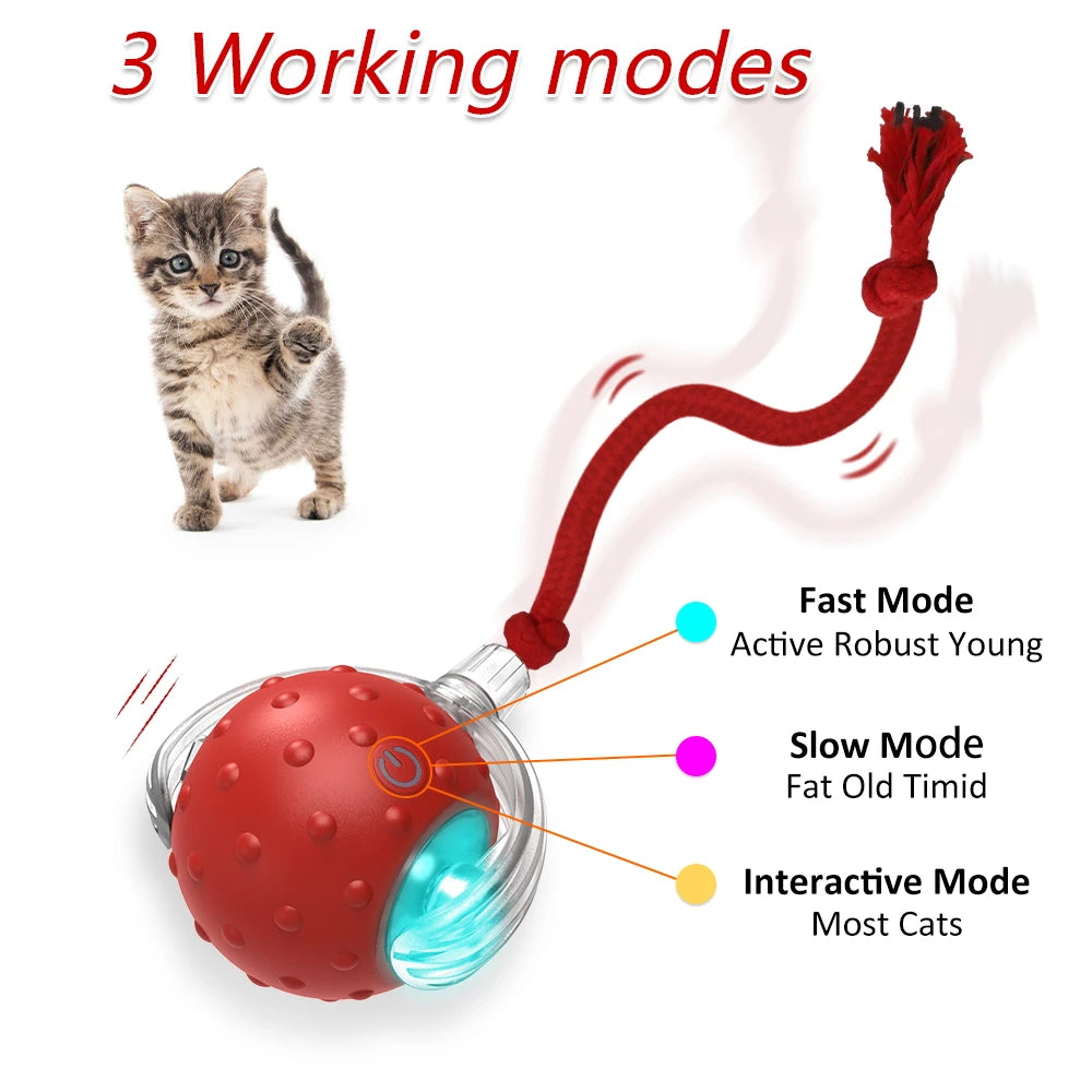 Pro Interactive Toy Ball with Bird Chirping for Dogs/Cats