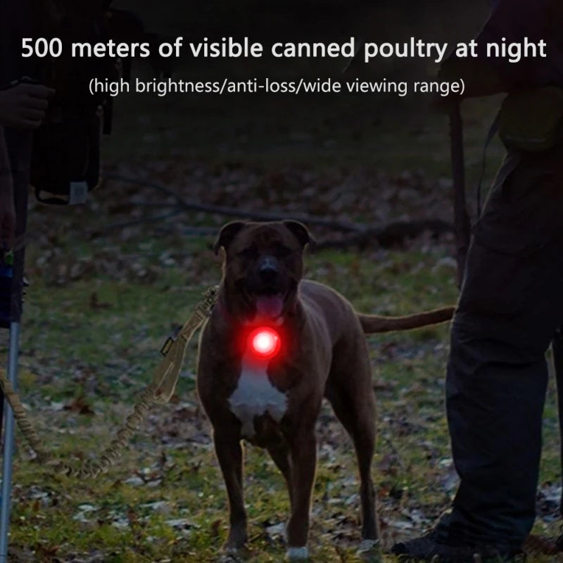 LED Safety Light Pendant for Dog Collars - Rechargeable IPX8