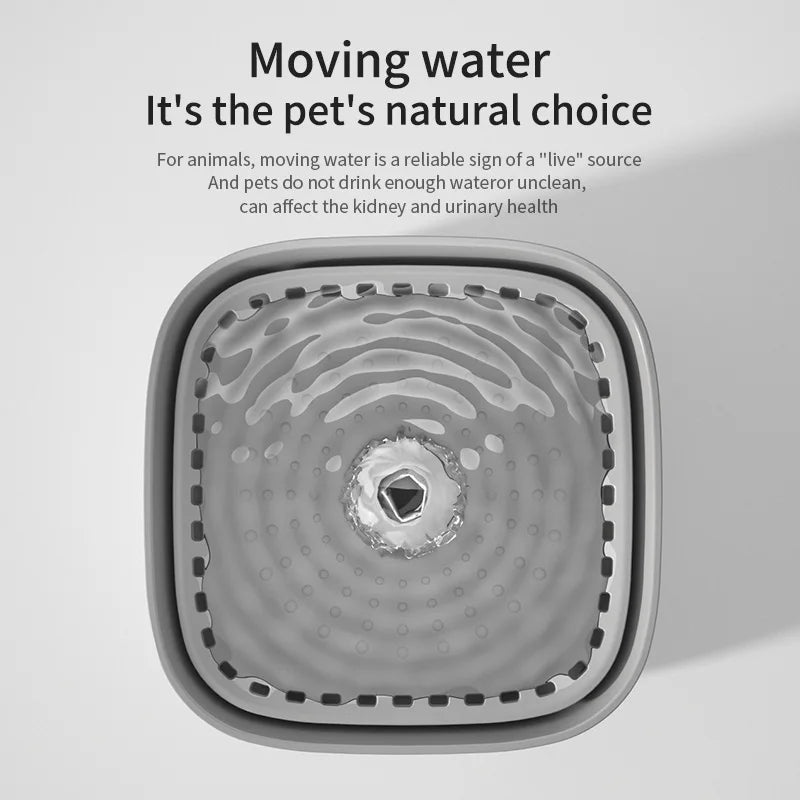 3L Filtered Water Fountain for Dogs & Cats - Ideal for Muti Pets Family