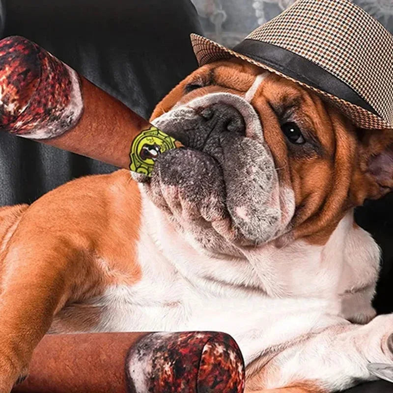 Fake Cigar Squeaky Plush Toy for Dog