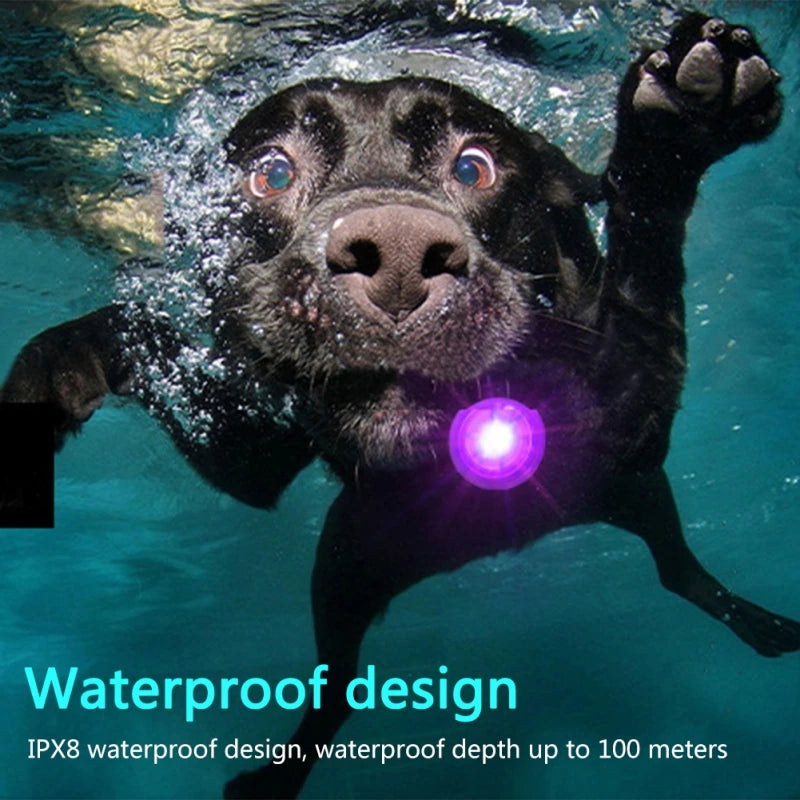 LED Safety Light Pendant for Dog Collars - Rechargeable IPX8
