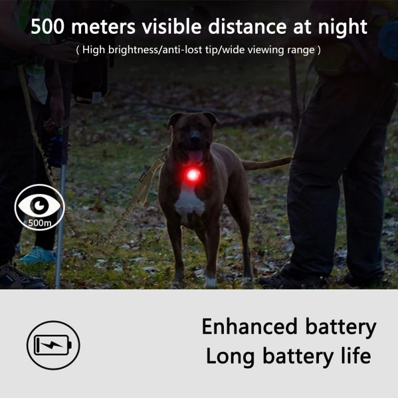 LED Safety Light Pendant for Dog Collars - Rechargeable IPX8