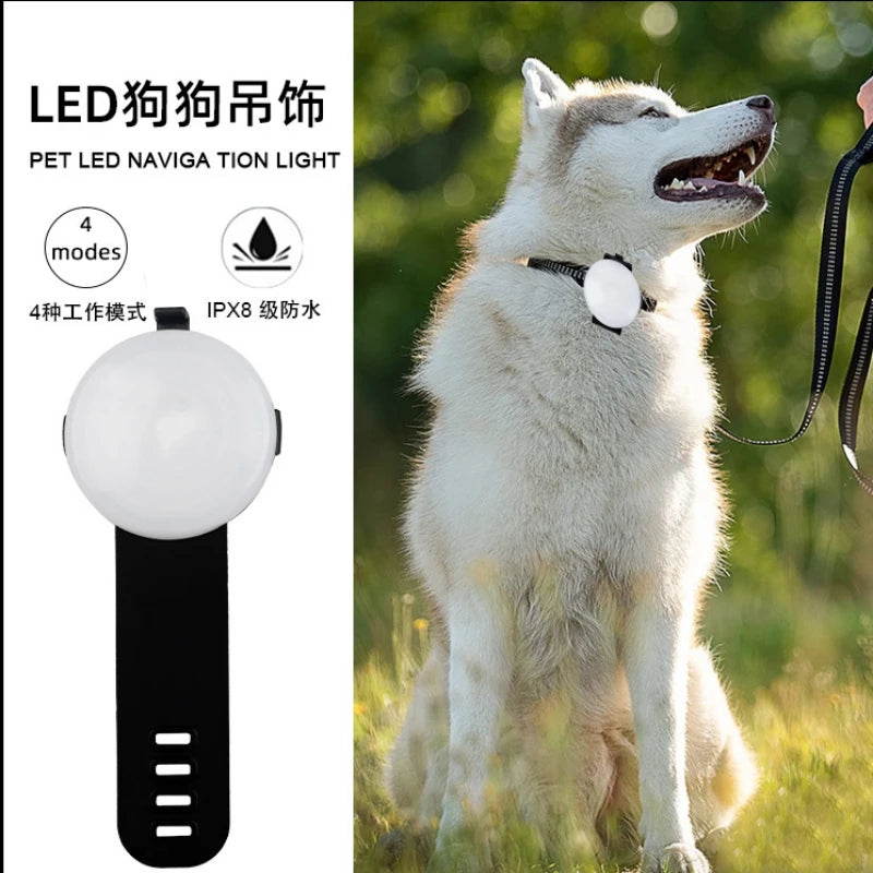 LED Safety Light Pendant for Dog Collars - Rechargeable IPX8