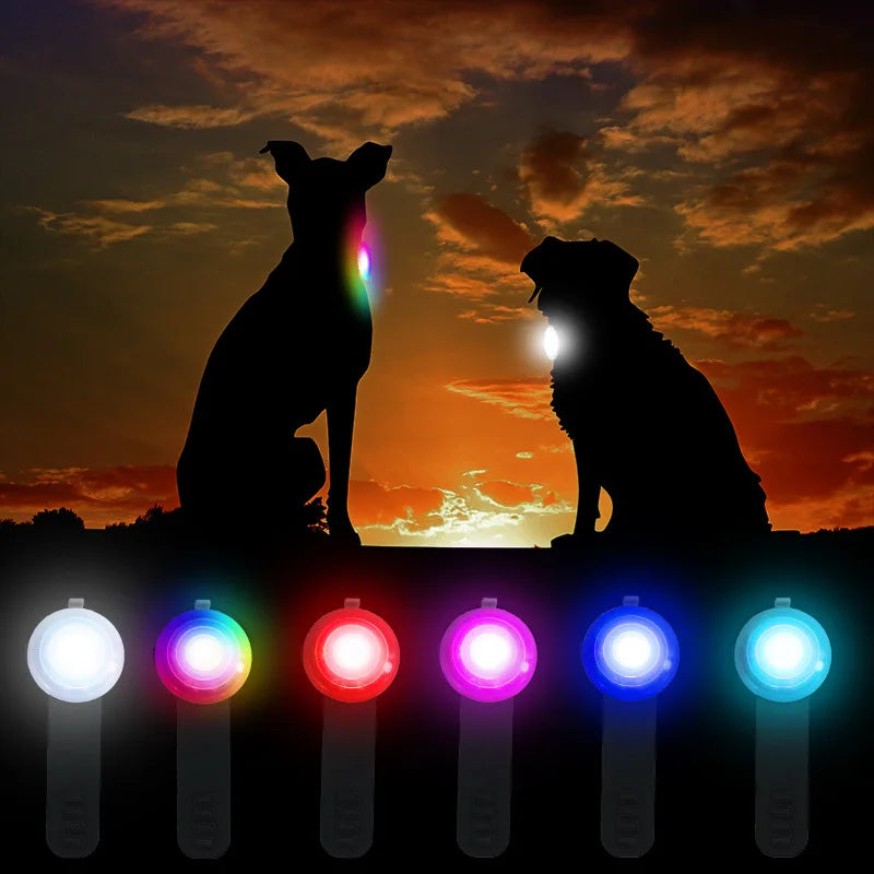 LED Safety Light Pendant for Dog Collars - Rechargeable IPX8