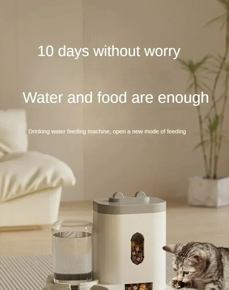 Pet Feeder & Water Fountain for Cats & Dogs