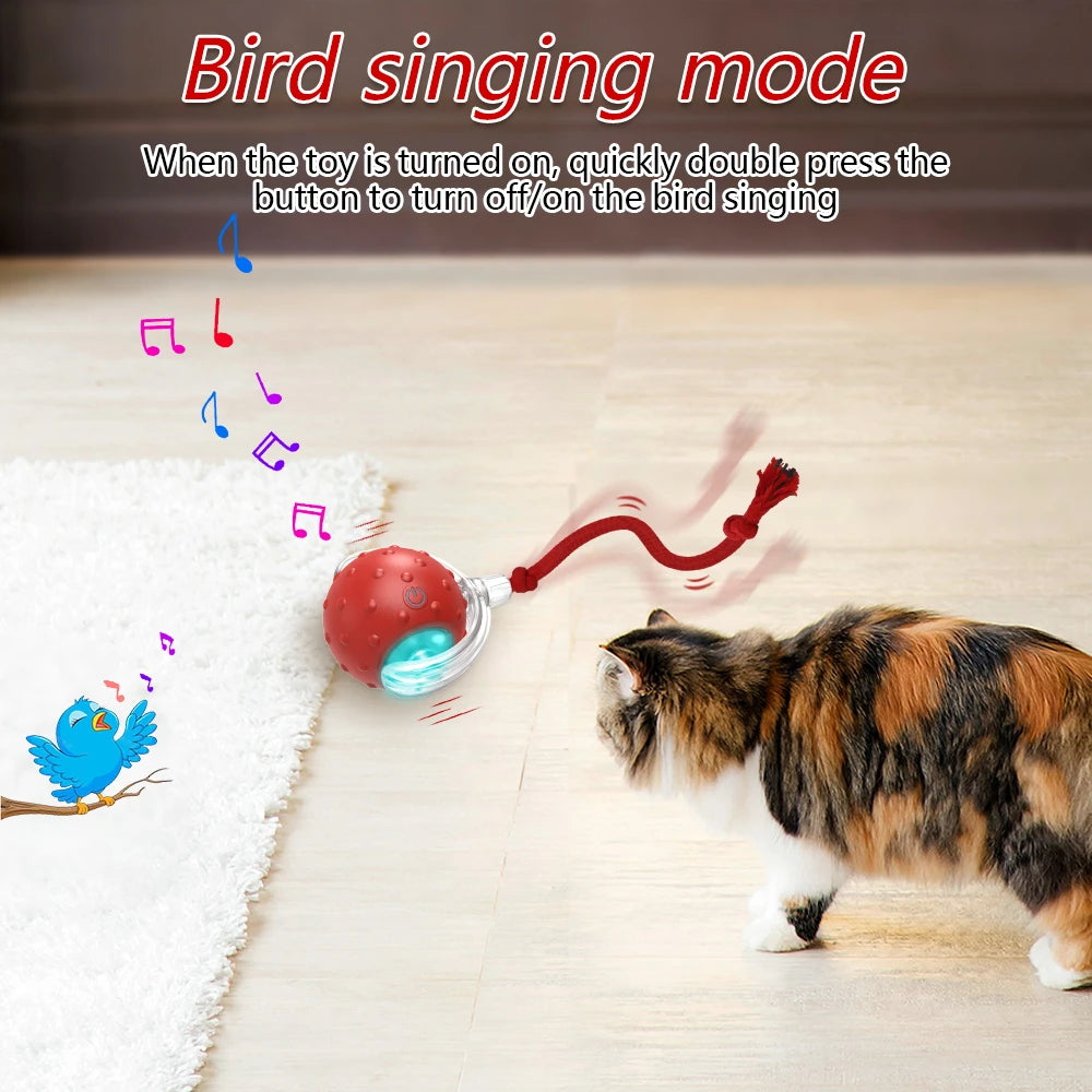 Pro Interactive Toy Ball with Bird Chirping for Dogs/Cats
