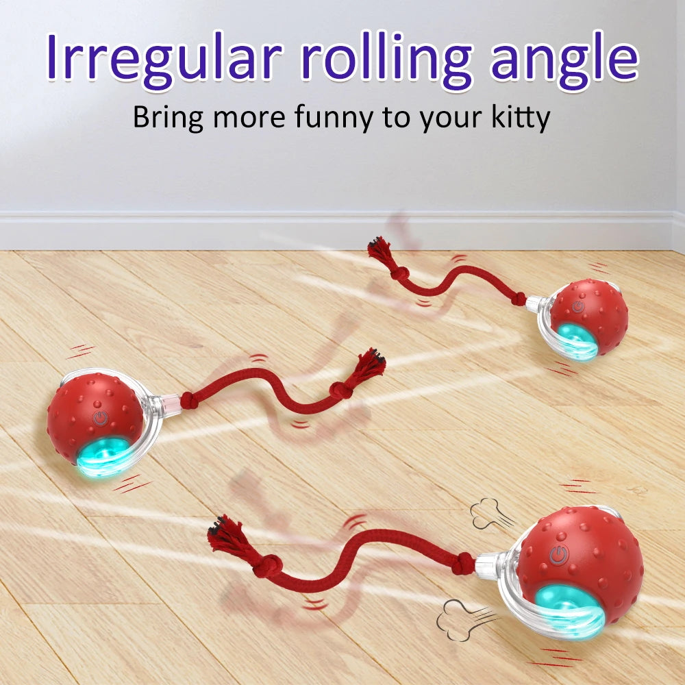 Pro Interactive Toy Ball with Bird Chirping for Dogs/Cats