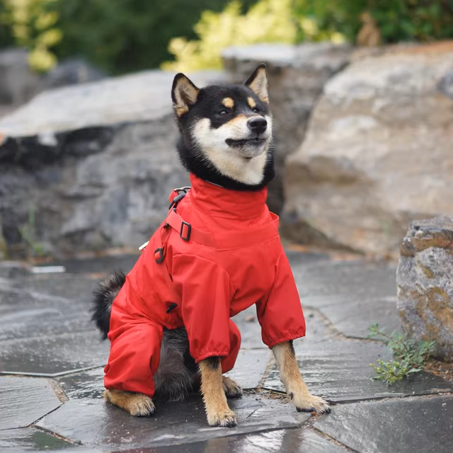 Dog Raincoat