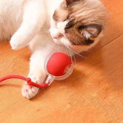 Smart Interactive Toy Ball for Dogs/Cats