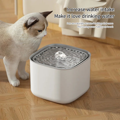 3L Filtered Water Fountain for Dogs & Cats - Ideal for Muti Pets Family