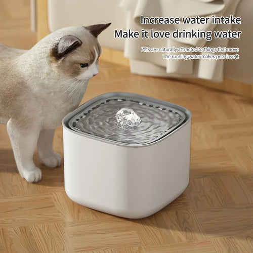 3L Filtered Water Fountain for Dogs & Cats - Ideal for Muti Pets Family
