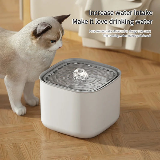 3L Filtered Water Fountain for Dogs & Cats - Ideal for Muti Pets Family