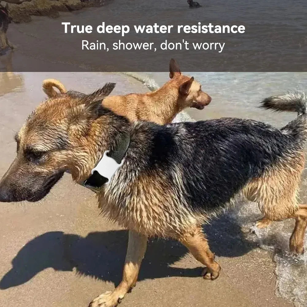 Smart GPS Tracker for Pets - Android/iOS Real-Time Locator