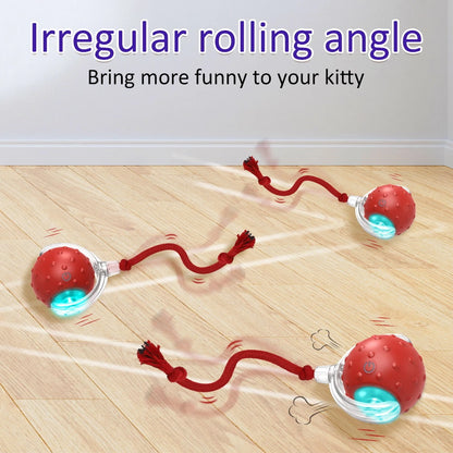 Pro Interactive Toy Ball with Bird Chirping for Dogs/Cats
