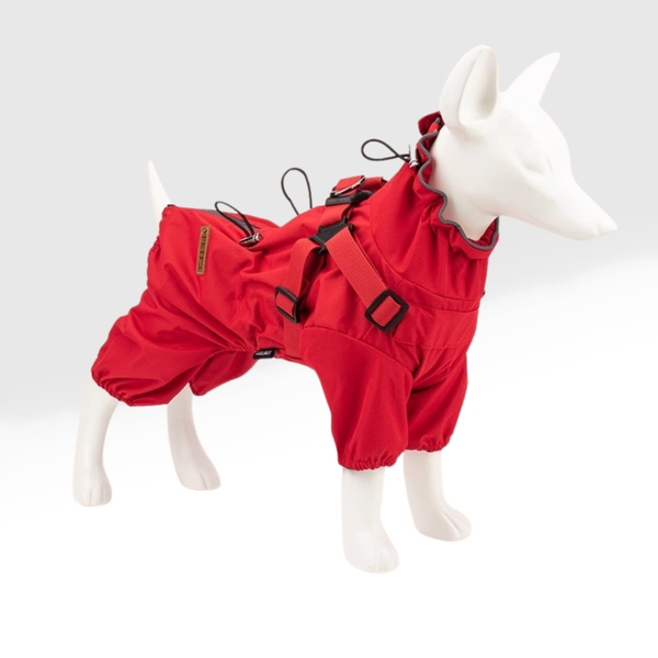 Dog Raincoat